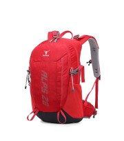 کوله پشتی پکینیو مدل Alps 28L KA-2072