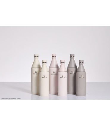 قمقمه استنلی 600ml مدل All Day Slim