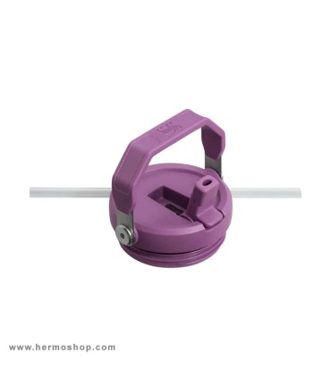 بطری استنلی 890ml مدل The IceFlow Flip Straw Tumbler