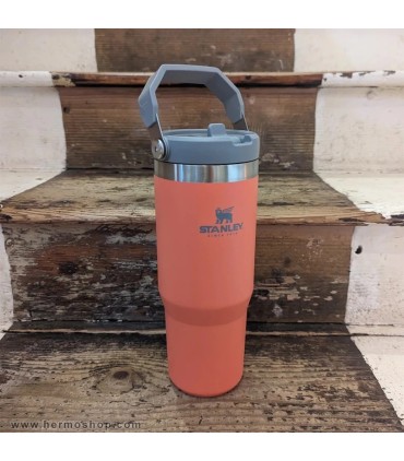 بطری استنلی 890ml مدل The IceFlow Flip Straw Tumbler