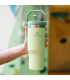 بطری استنلی 890ml مدل The IceFlow Flip Straw Tumbler
