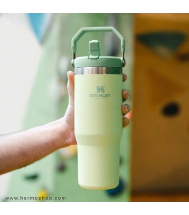 بطری استنلی 890ml مدل The IceFlow Flip Straw Tumbler