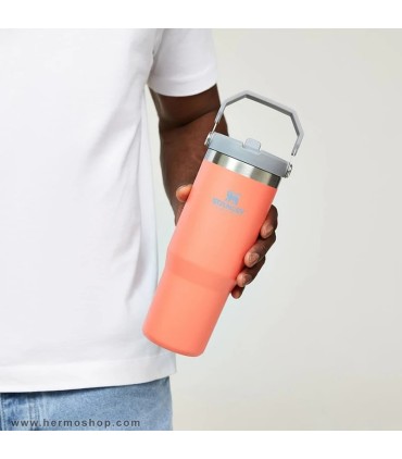 بطری استنلی 890ml مدل The IceFlow Flip Straw Tumbler
