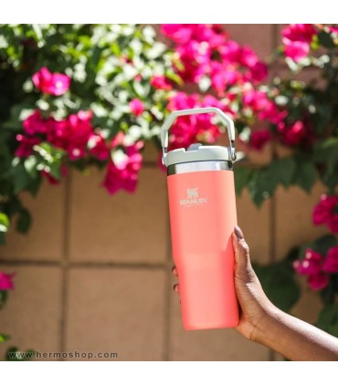 بطری استنلی 890ml مدل The IceFlow Flip Straw Tumbler
