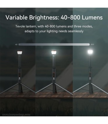 فیش لایت  TOBYS مدل CPL-T24