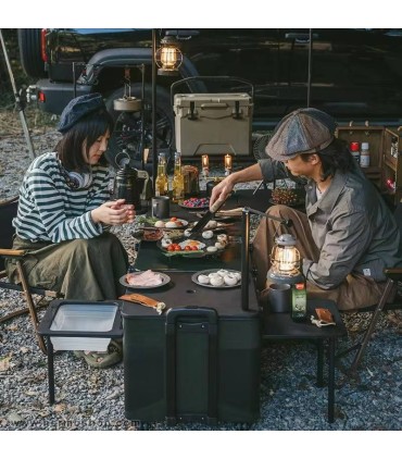 آشپزخانه سیار چندکاره نیچرهایک مدل CNH22CJ013