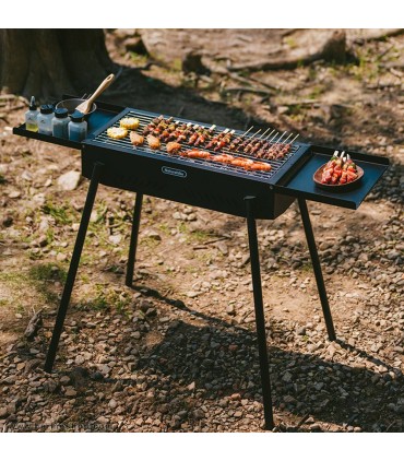 باربیکیو ایستاده نیچرهایک مدل CNK2550CF013