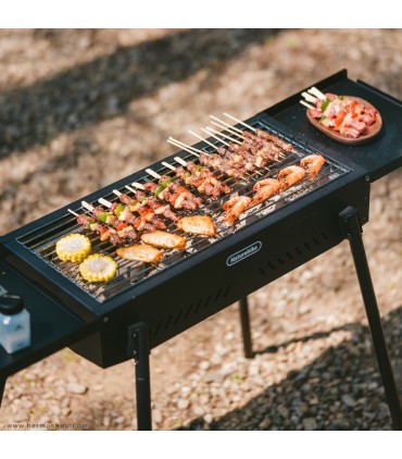 باربیکیو ایستاده نیچرهایک مدل CNK2550CF013