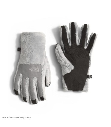 دستکش اورجینال پلار نورث فیس مدل Denali Thermal Etip