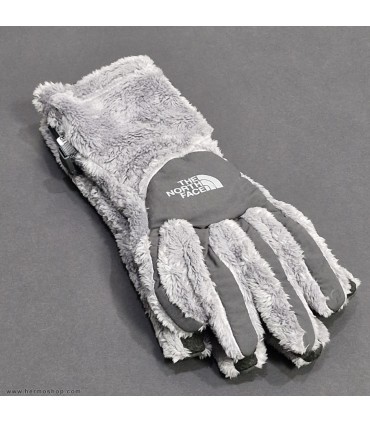 دستکش اورجینال پلار نورث فیس مدل Denali Thermal Etip