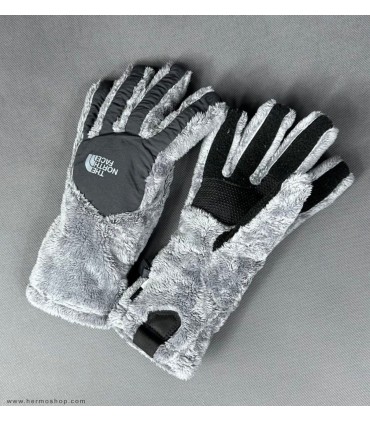 دستکش اورجینال پلار نورث فیس مدل Denali Thermal Etip