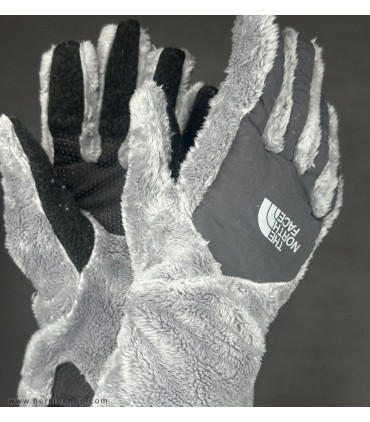 دستکش اورجینال پلار نورث فیس مدل Denali Thermal Etip