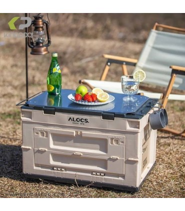 هارد باکس تاشو آلوکس مدل AC-Z08