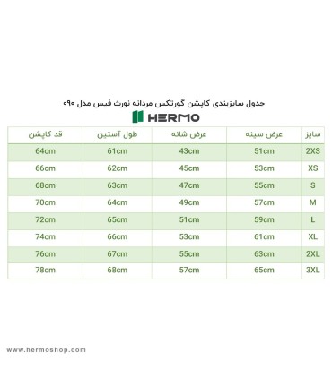 کاپشن گورتکس مردانه نورث فیس مدل 090