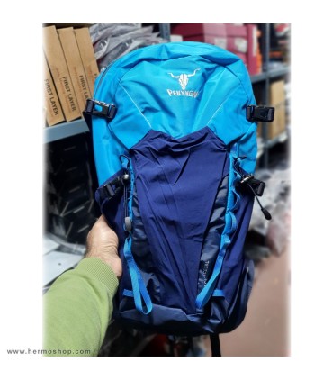 کوله پشتی پکینیو مدل Black Ice 38L