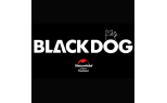 BLACK DOG